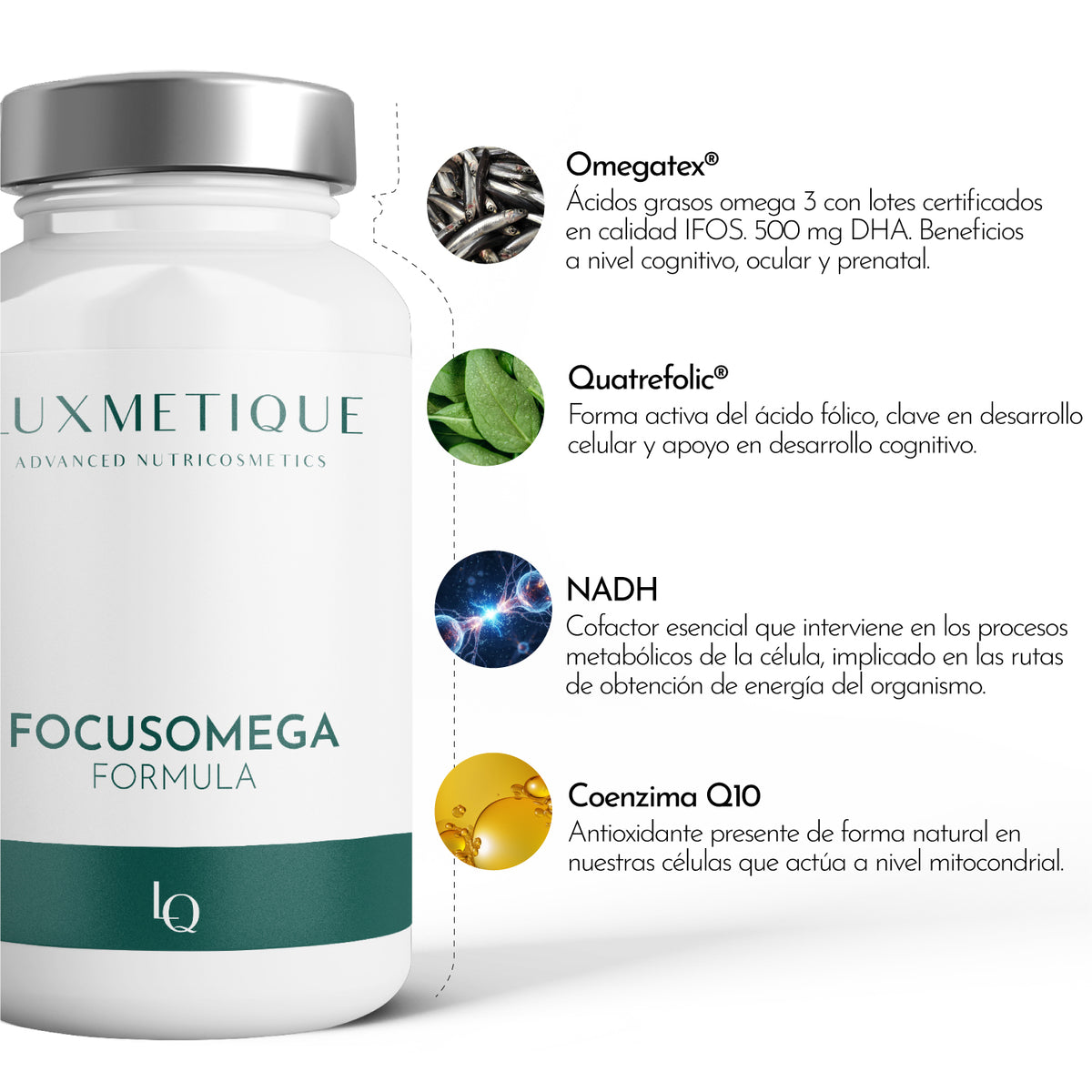 FOCUSOMEGA FORMULA