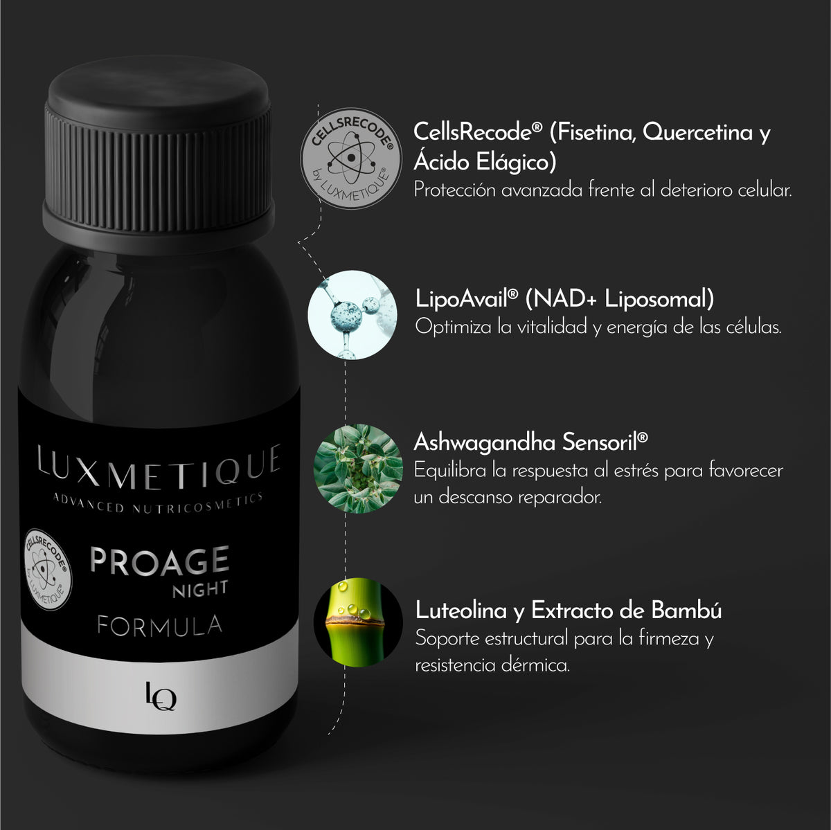 FÓRMULA NOITE PROAGE